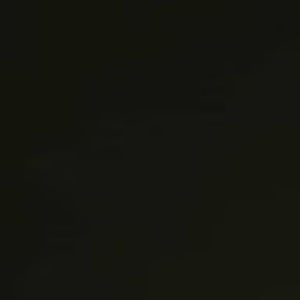 Meet your Posher, Larbi